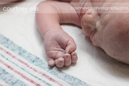 Louisville Birth Photographer Courtney Ellis