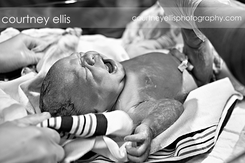 Louisville Birth Photographer Courtney Ellis