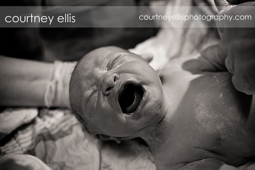 Louisville Birth Photographer Courtney Ellis