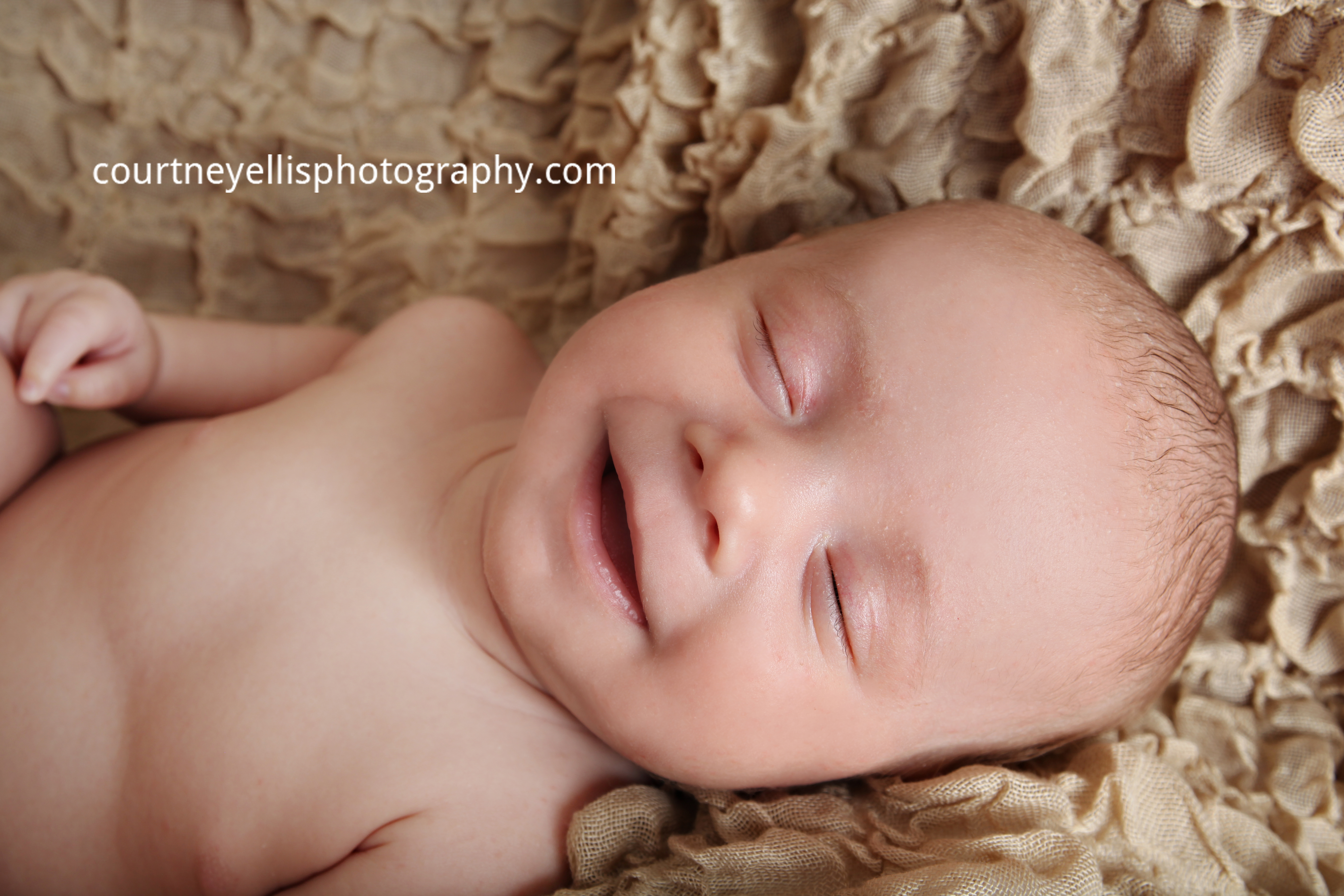 Louisville Newborn Photographer Courtney Ellis