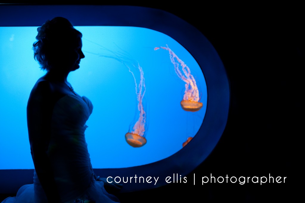 Ripley's Aquarium Wedding Photographer