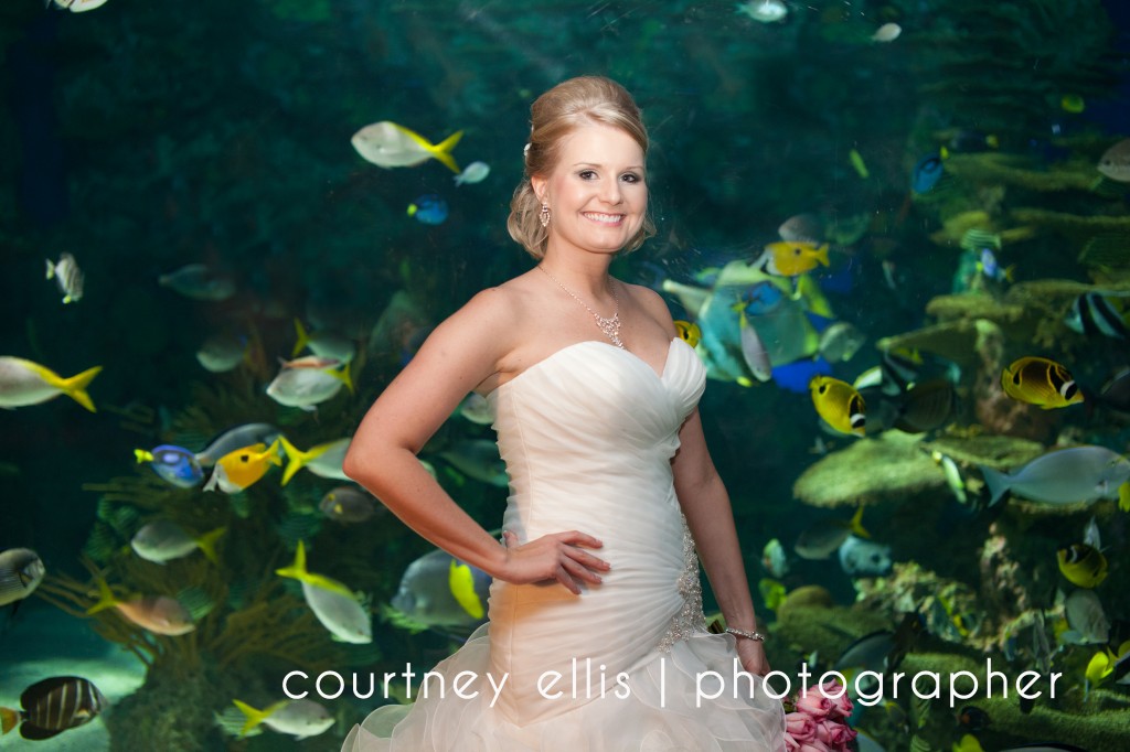 Ripley's Aquarium wedding photographer
