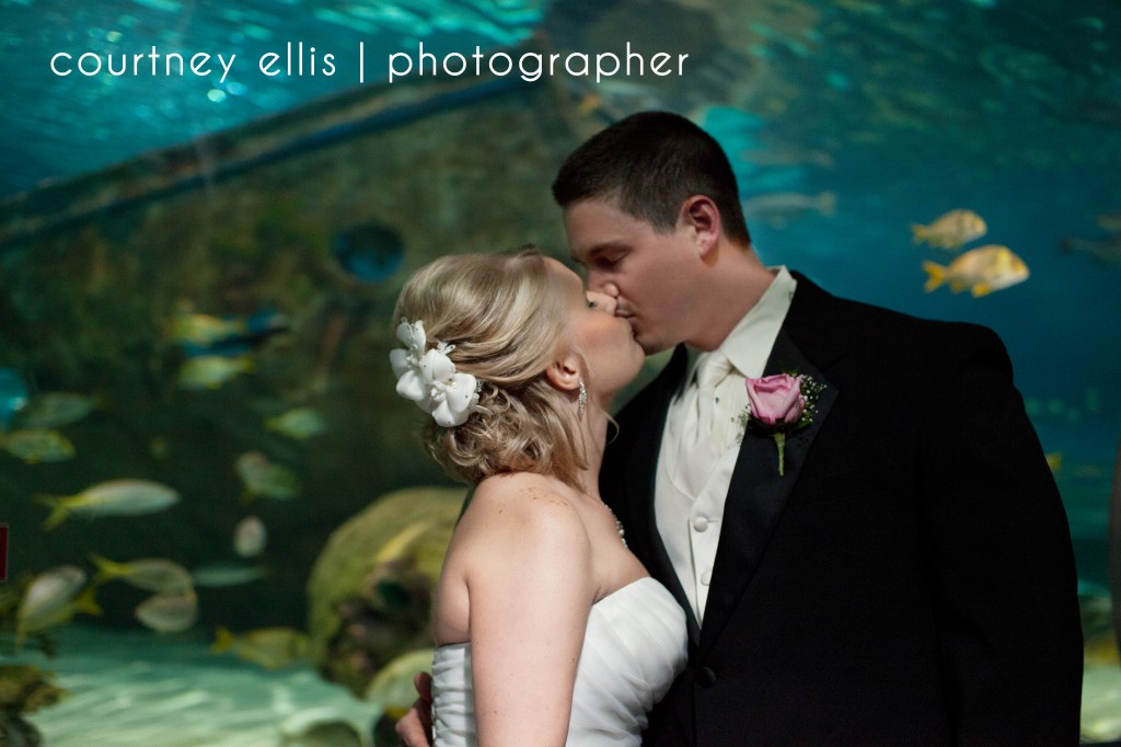 Ripley Aquarium of the Smokies Wedding
