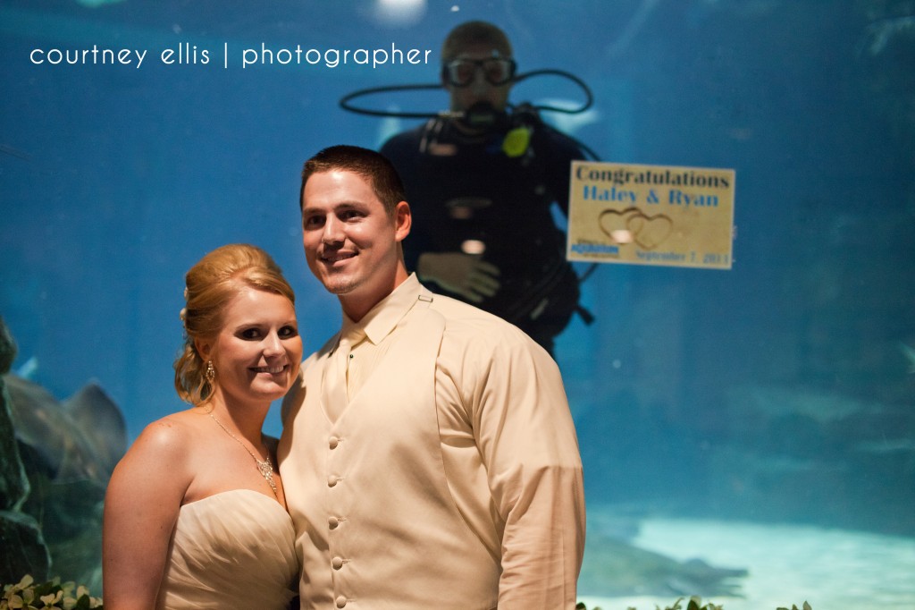 Ripley wedding diver shark tank